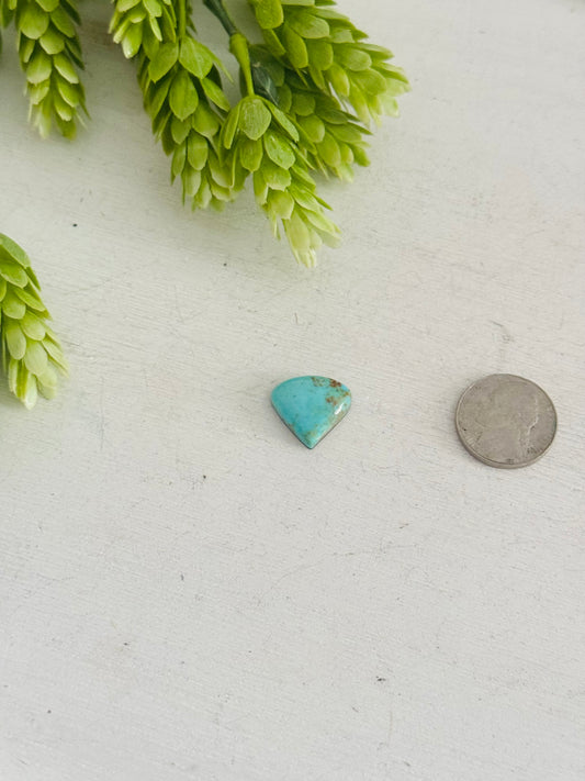Kingman Turquoise Cab