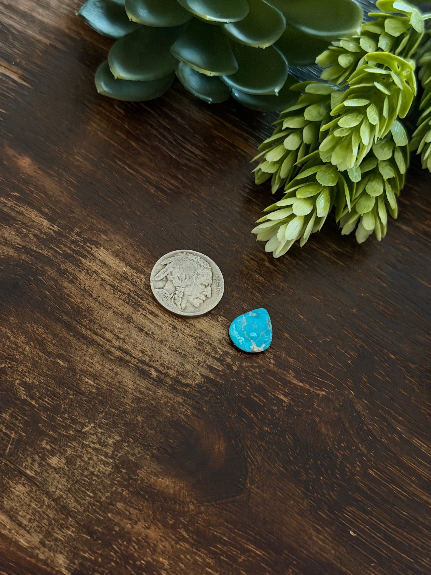 Blue Bird Turquoise Cab