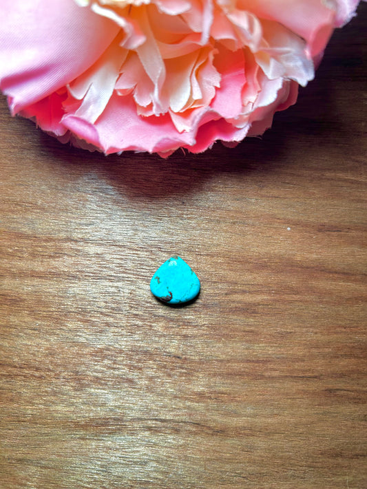 Kingman Turquoise Cabs