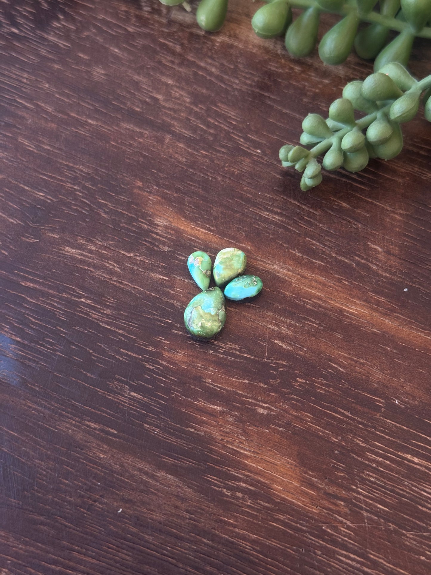 Sonoran Mountain Turquoise Cabs