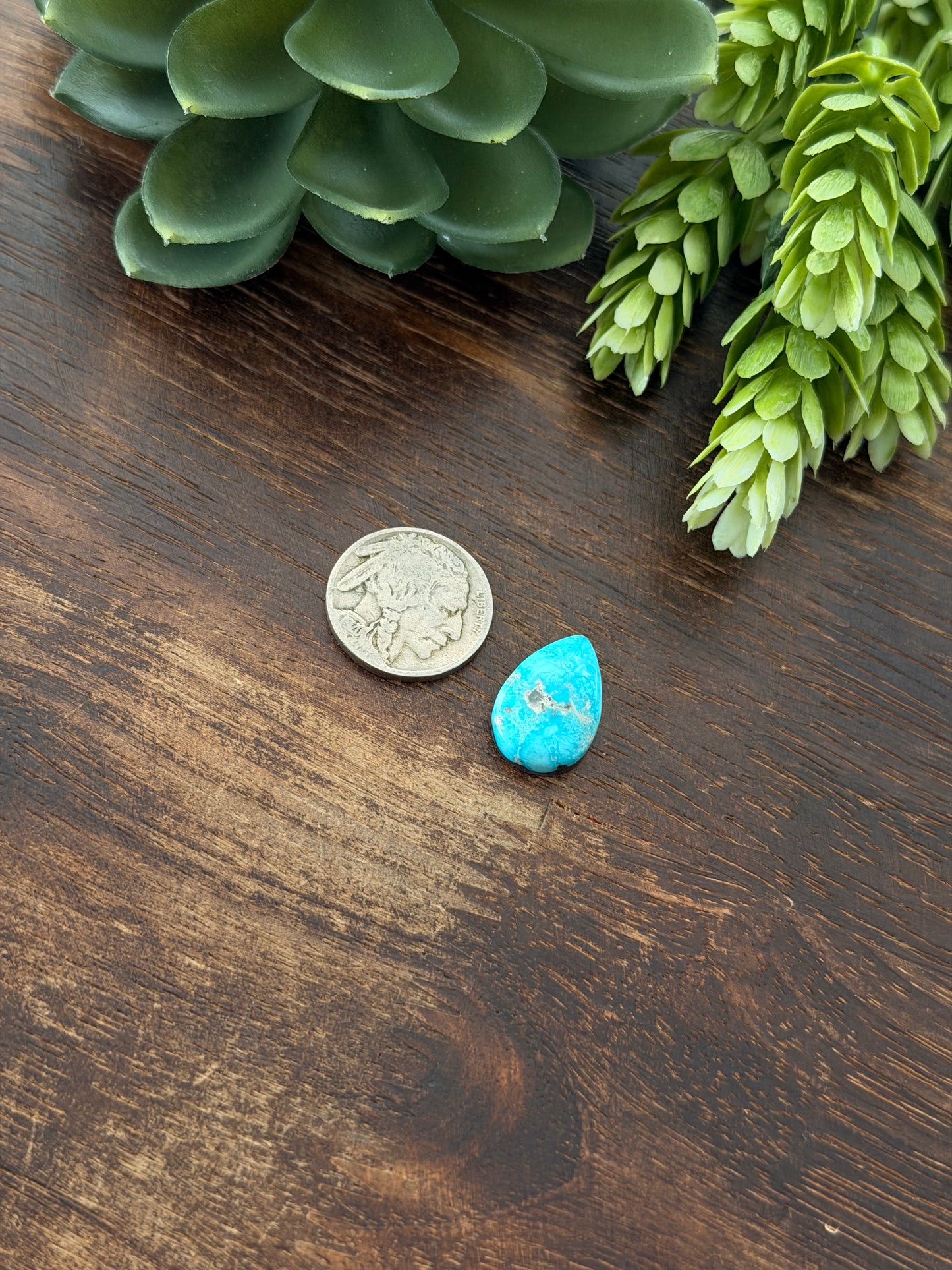 Blue Bird Turquoise Cab