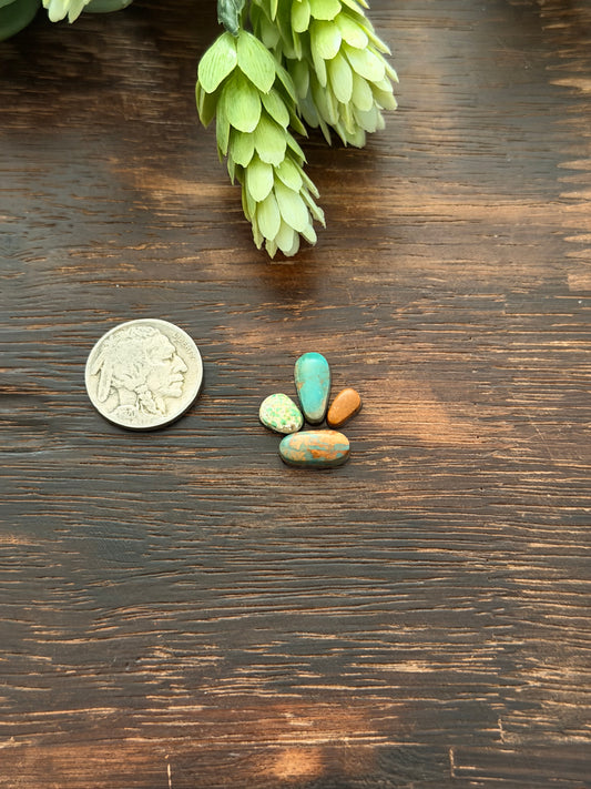 Evans Turquoise Cabs