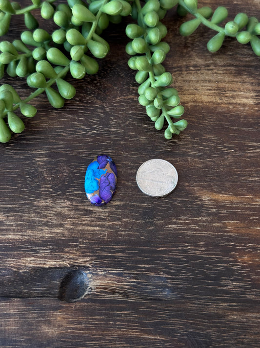 Purple Dahlia Composite Cabs