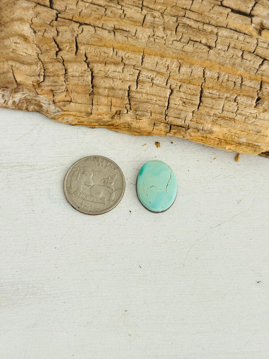Natural Kings Manassa Turquoise Cab
