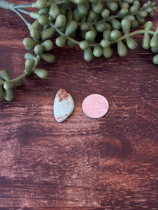 Kingman Turquoise Cab
