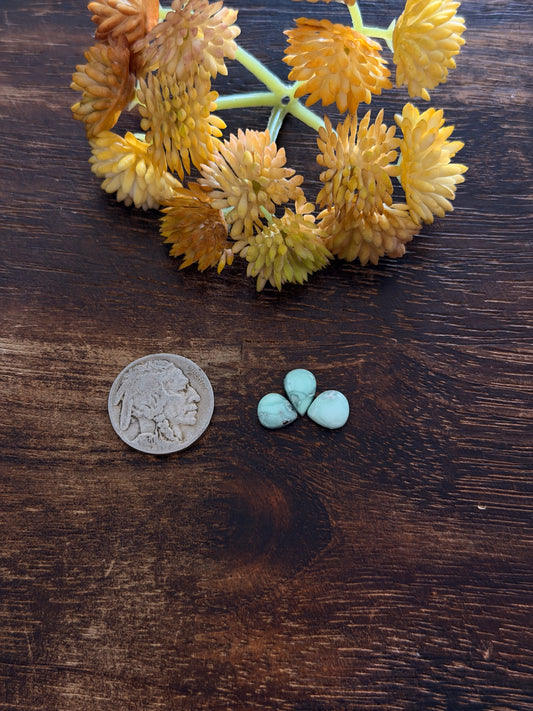 Paloma Variscite Cabs