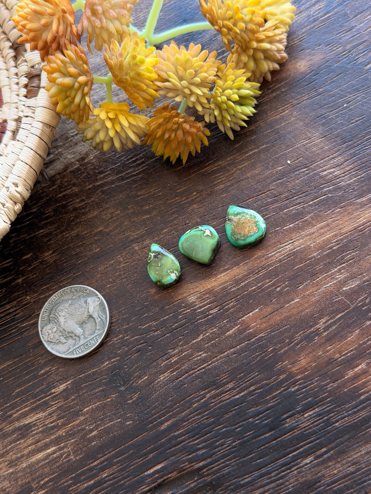 Sonoran Mountain Turquoise Cabs