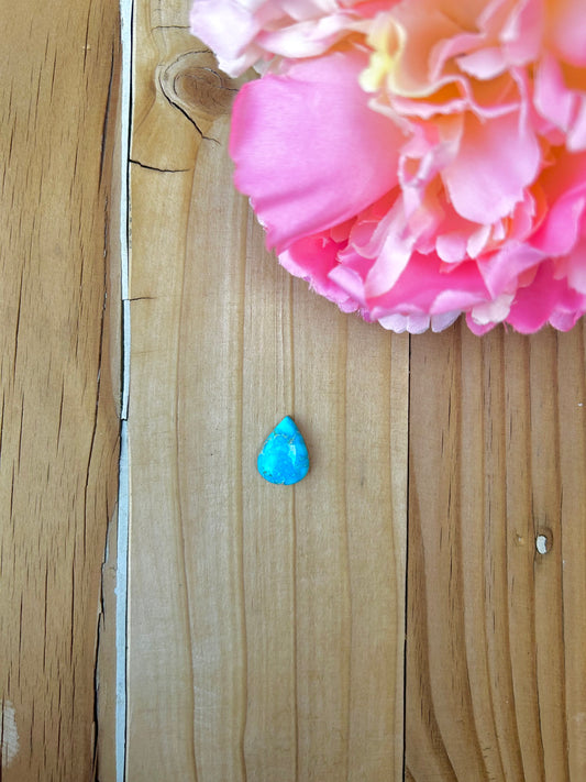 Blue Bird Turquoise Cabs