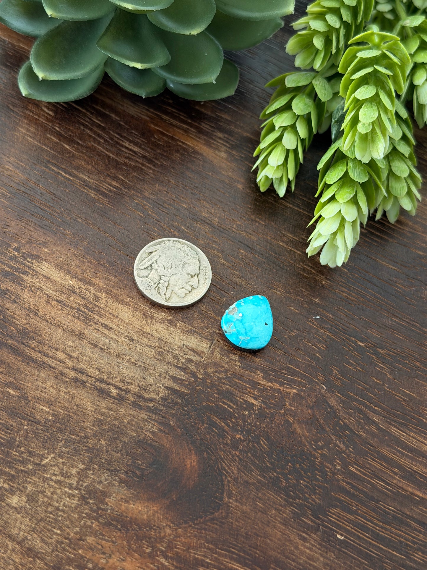Blue Bird Turquoise Cab