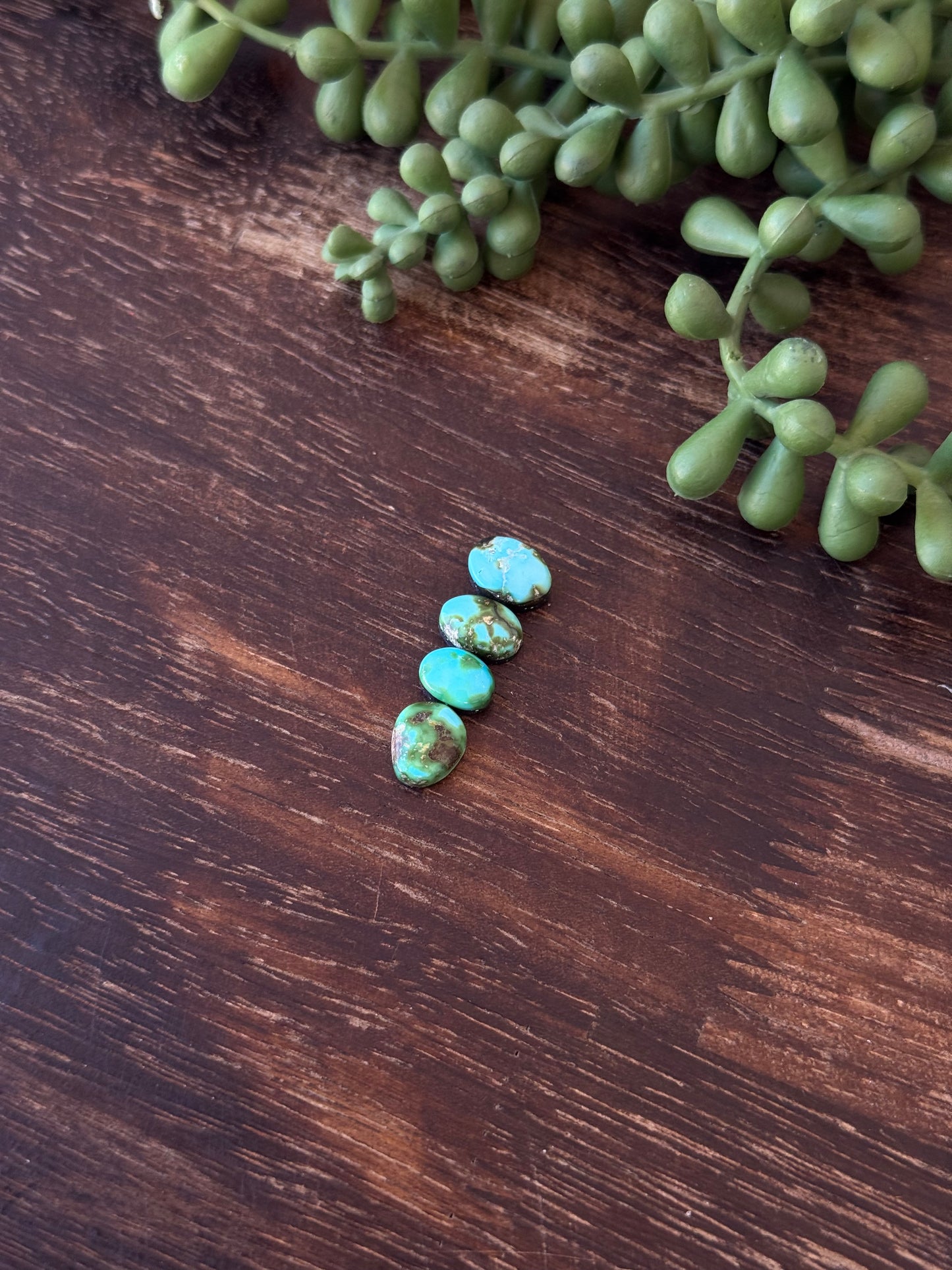 Sonoran Mountain Turquoise Cabs
