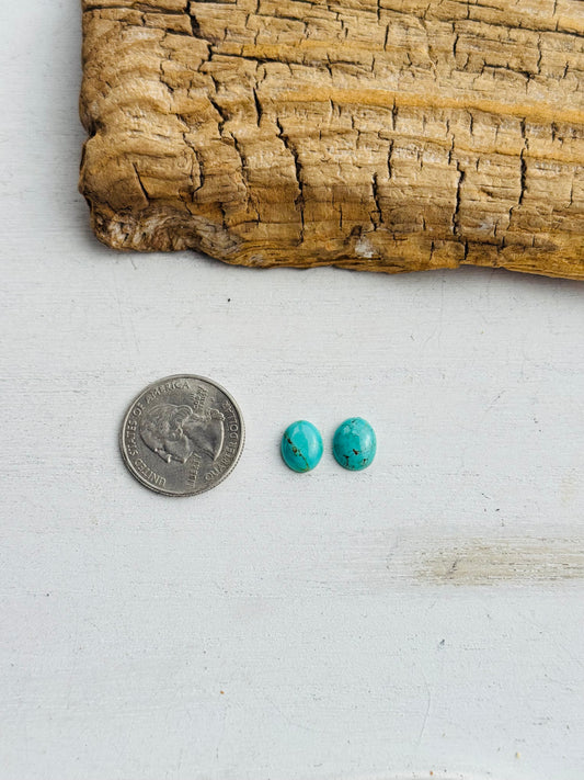 Kingman Turquoise Cabs