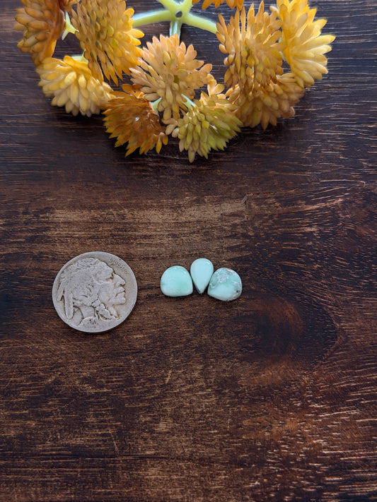 Paloma Variscite Cabs