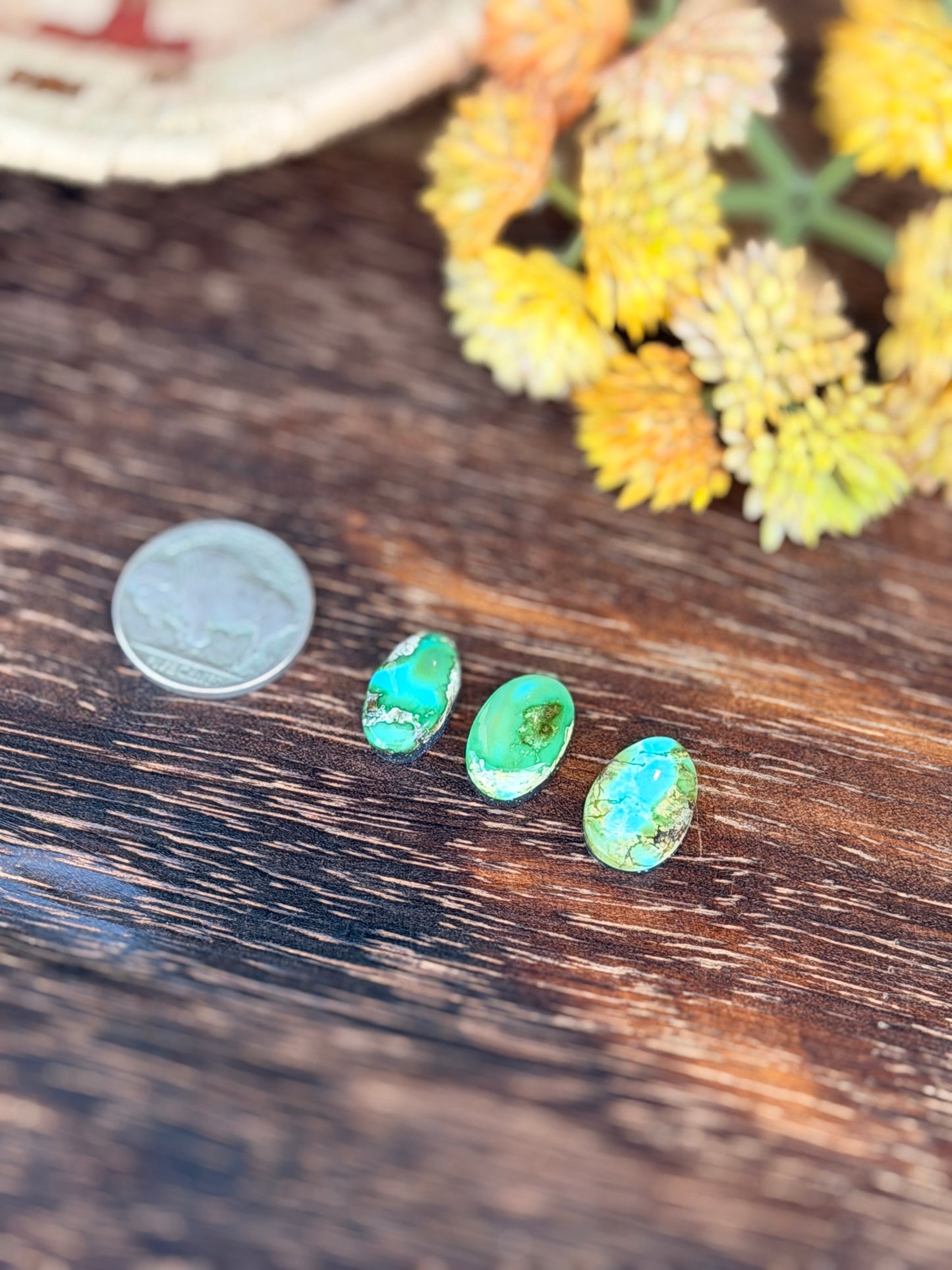 Sonoran Mountain Turquoise Cabs