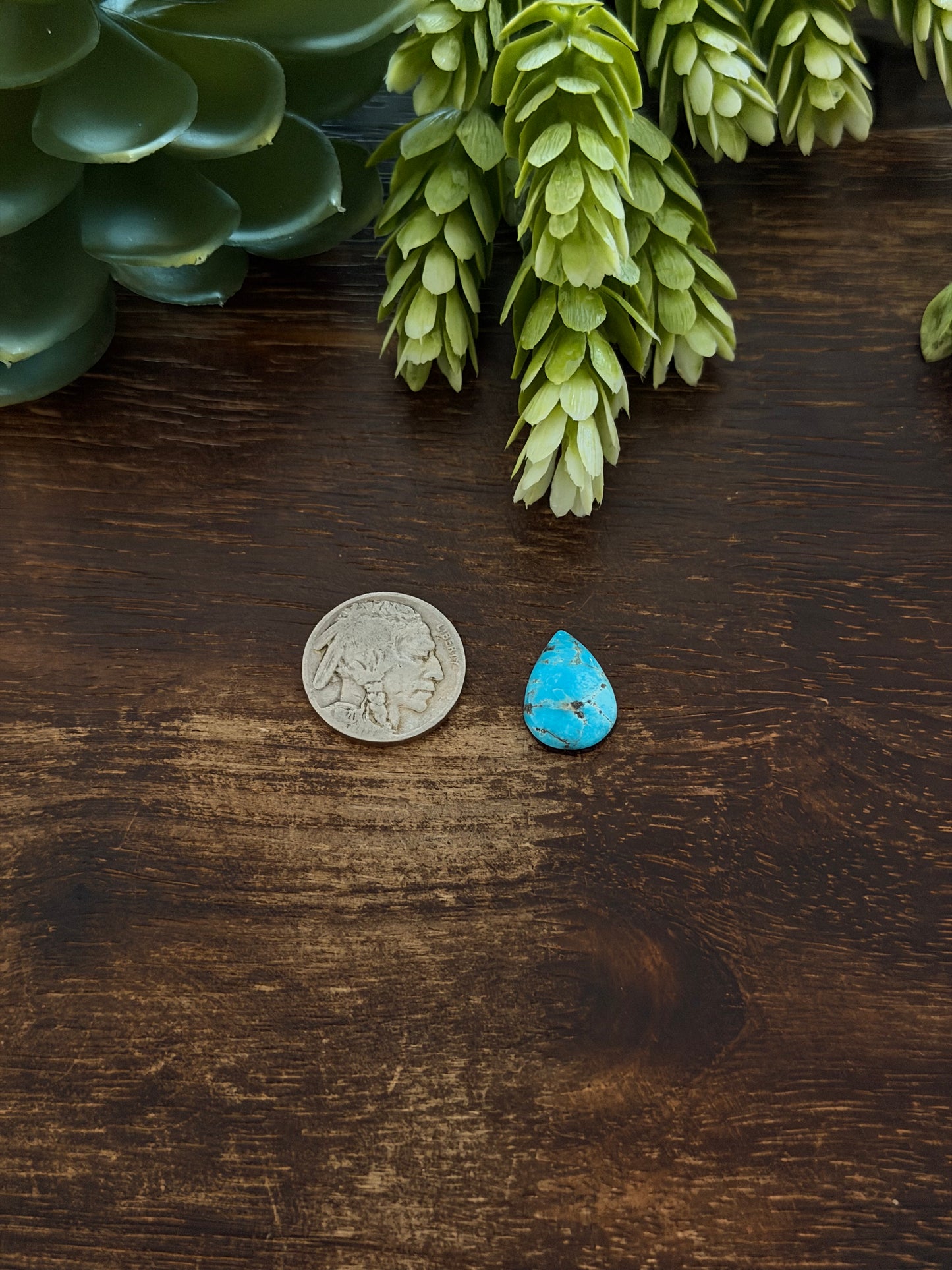 Blue Bird Turquoise Cab