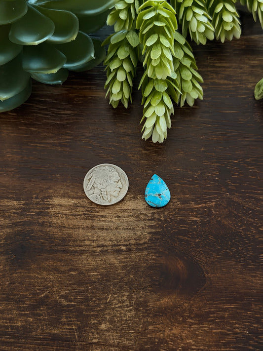 Blue Bird Turquoise Cab