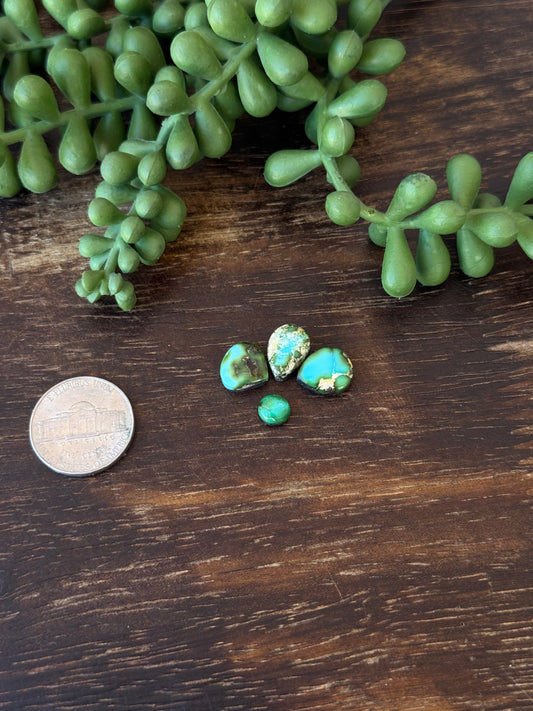 Sonoran Mountain Turquoise Cabs