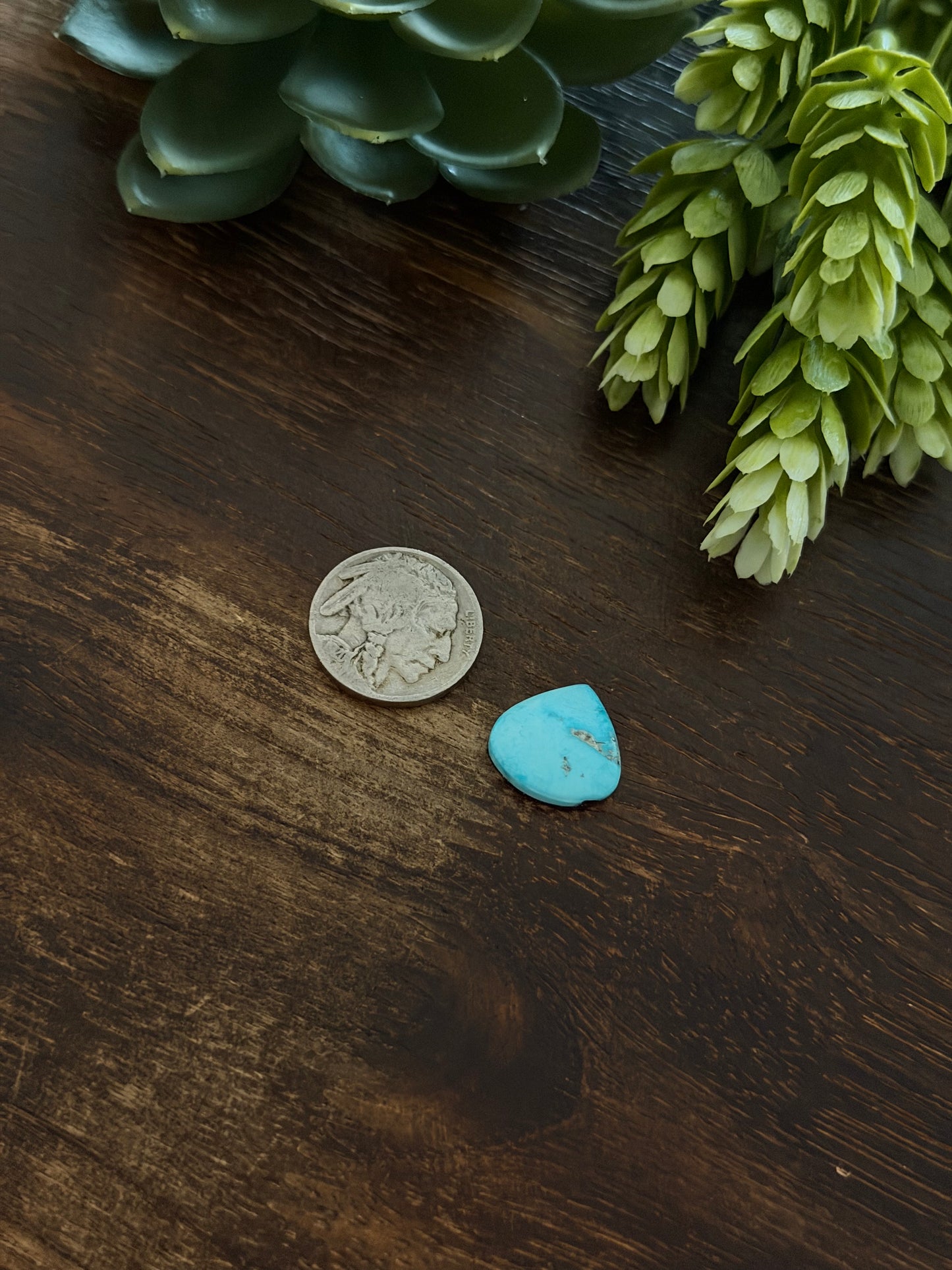Blue Bird Turquoise Cab