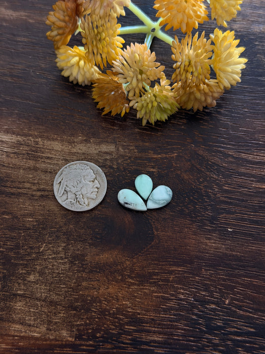 Paloma Variscite Cabs
