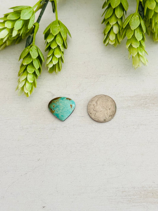 Kingman Turquoise Cab