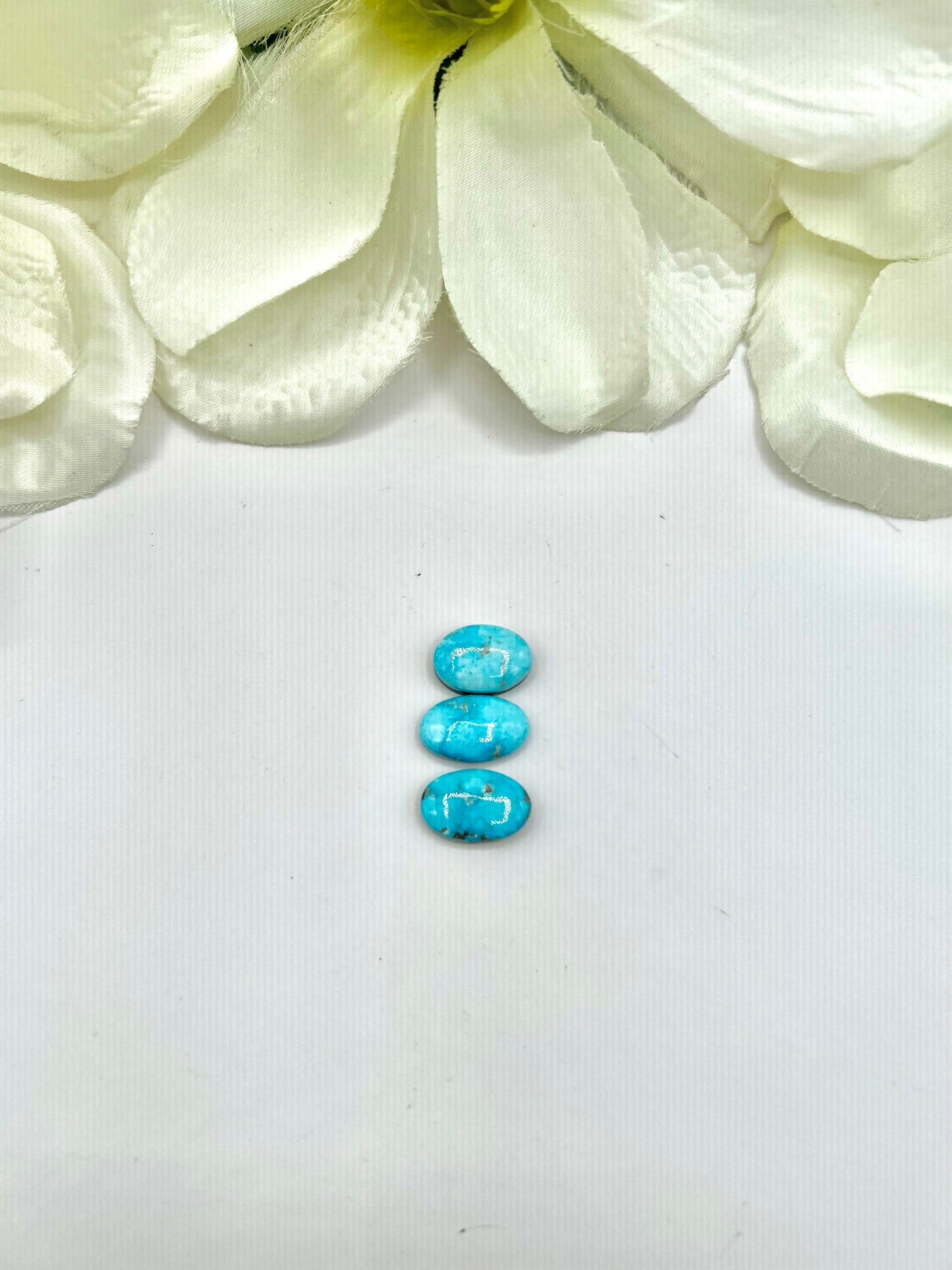 Blue Ridge Turquoise Cabs