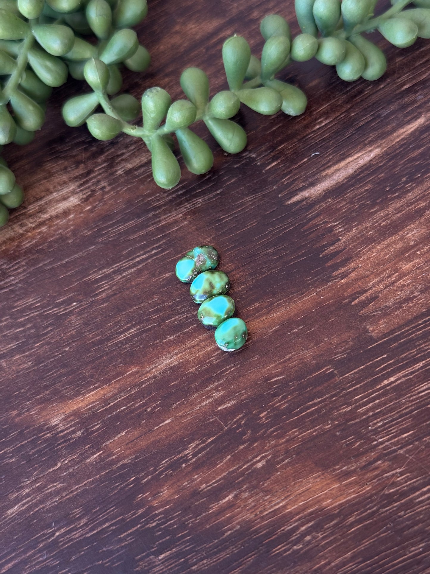 Sonoran Mountain Turquoise Cabs