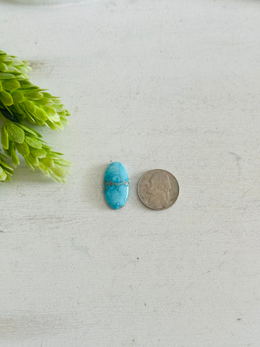Blue Bird Turquoise Cab
