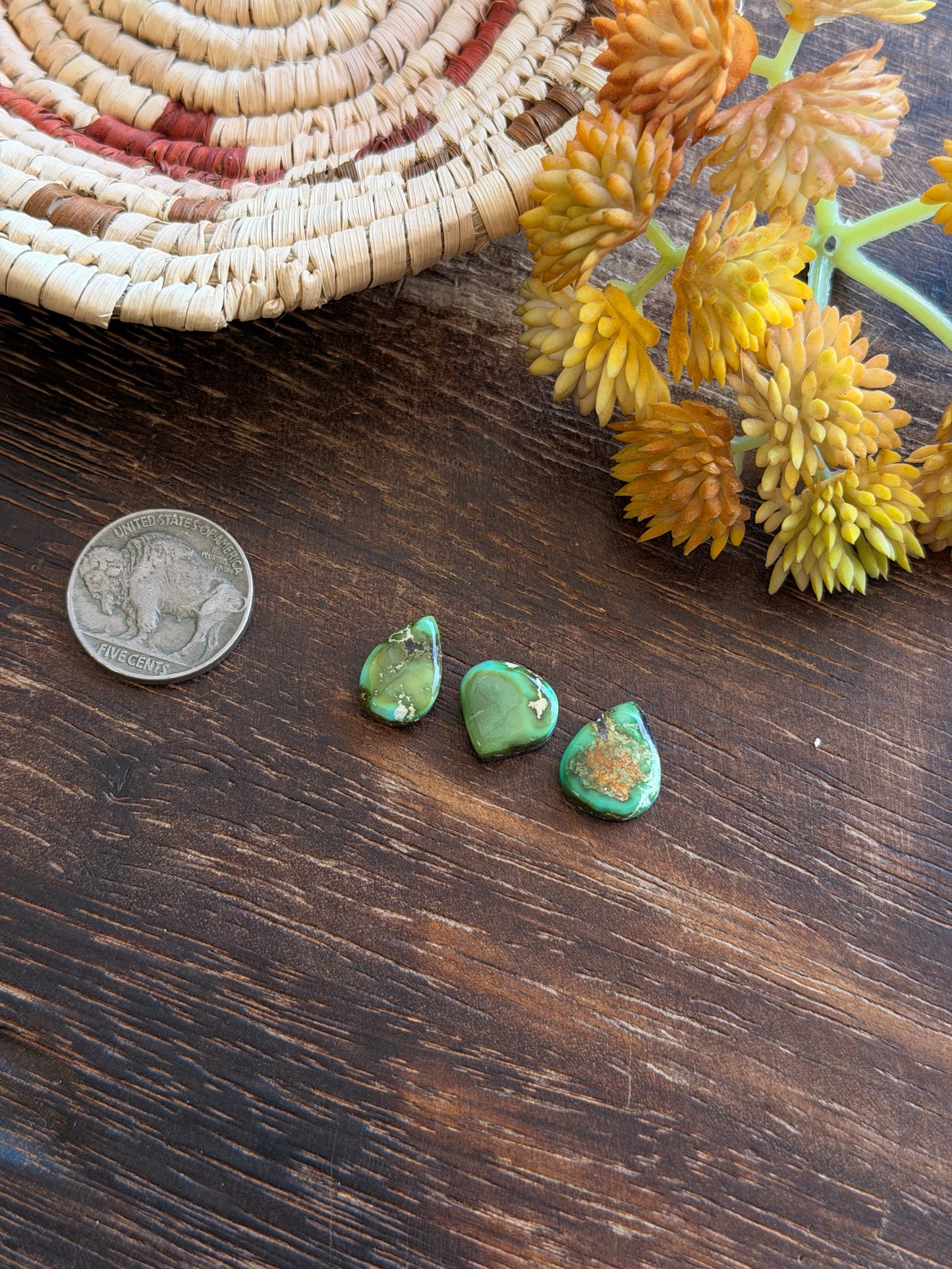 Sonoran Mountain Turquoise Cabs