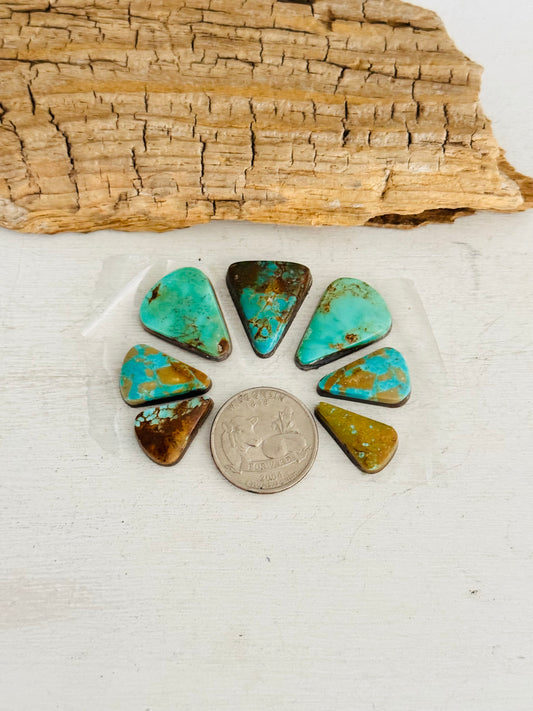 Natural Kings Manassa Turquoise Cab