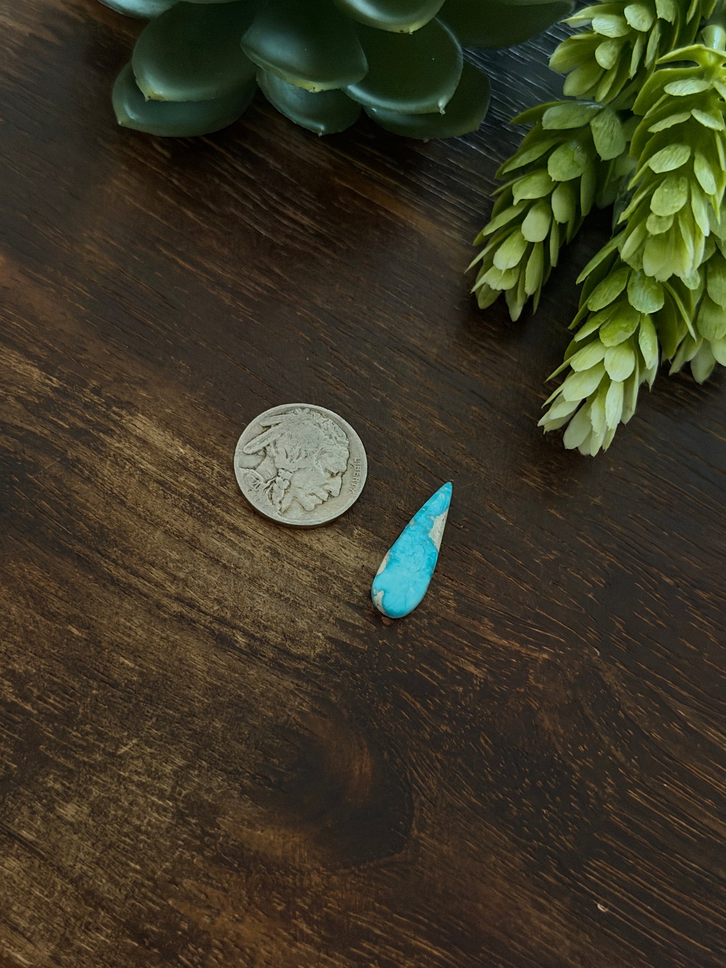 Blue Bird Turquoise Cab