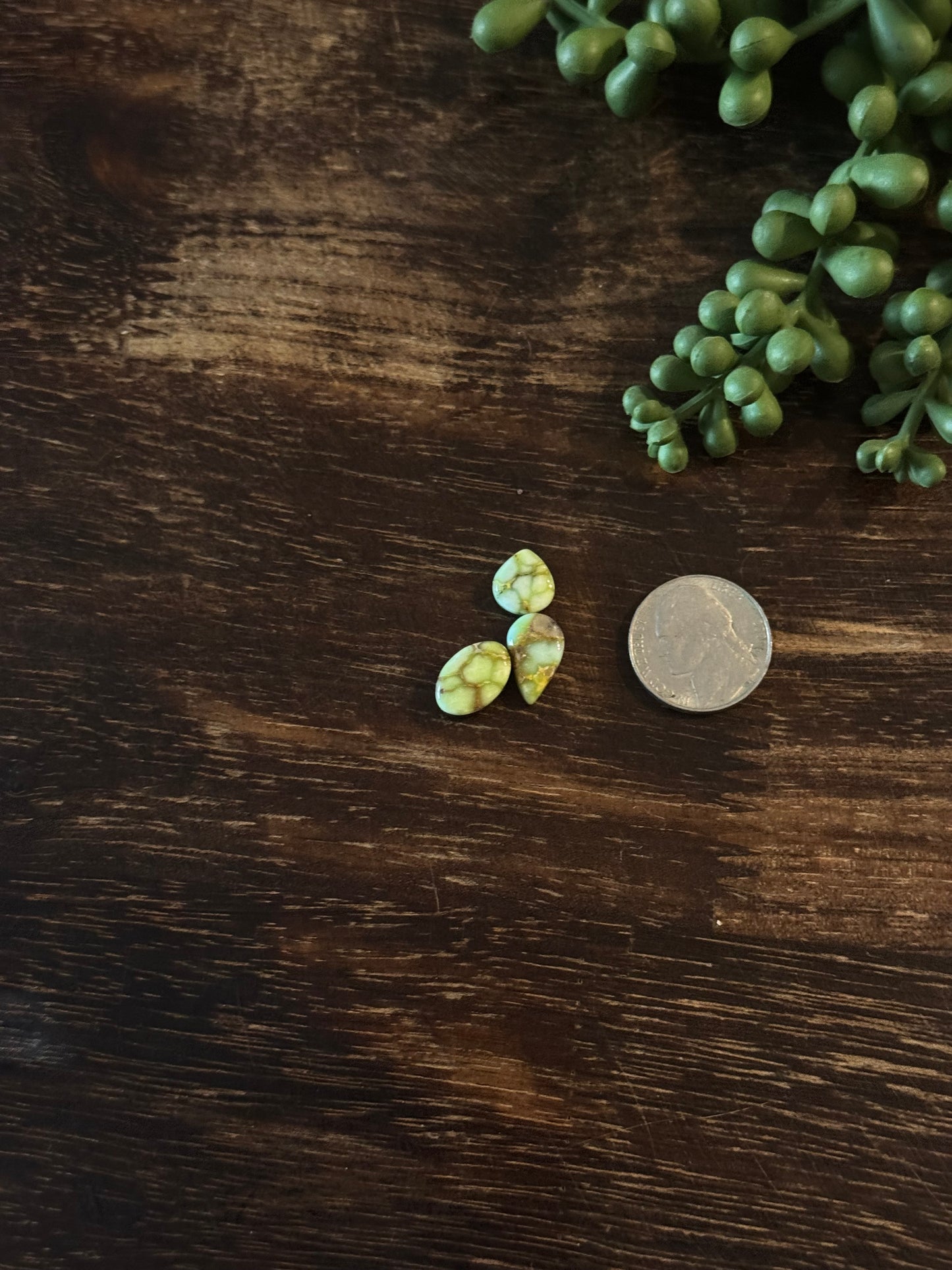 Palomino Variscite Cabs