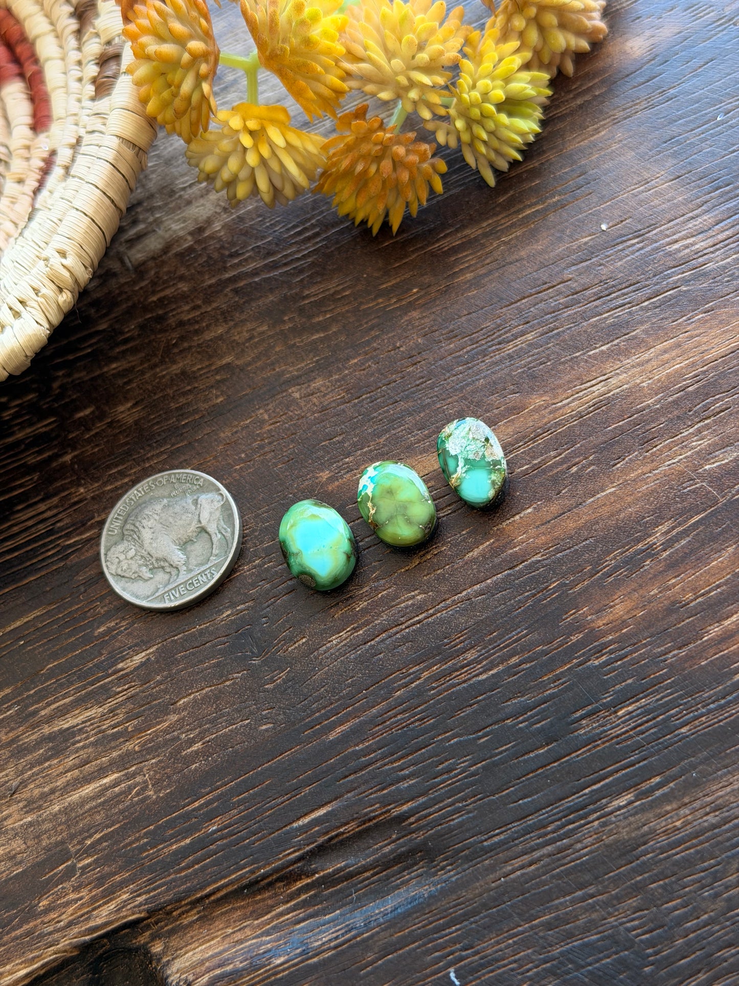 Sonoran Mountain Turquoise Cabs
