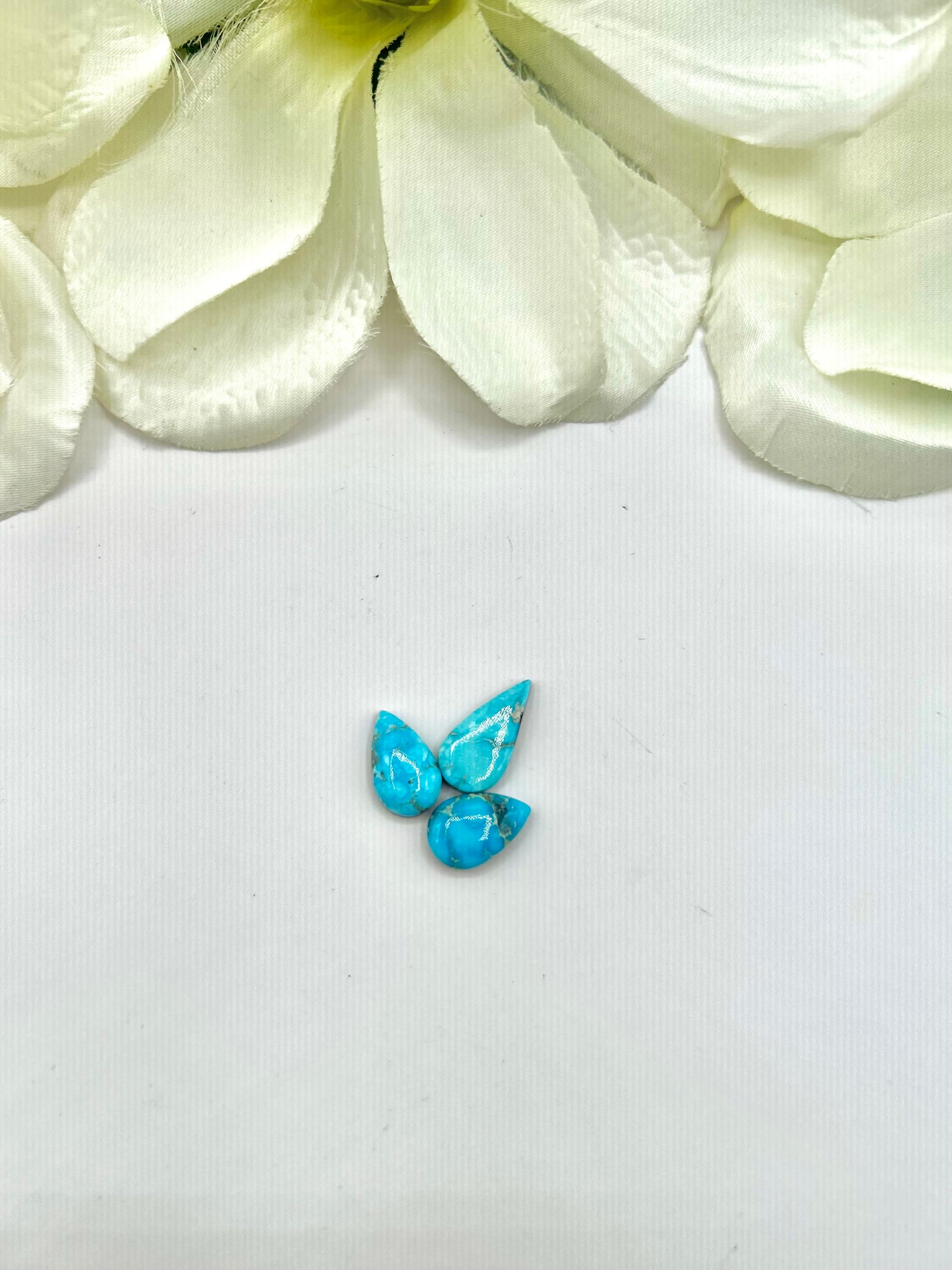 Blue Ridge Turquoise Cabs