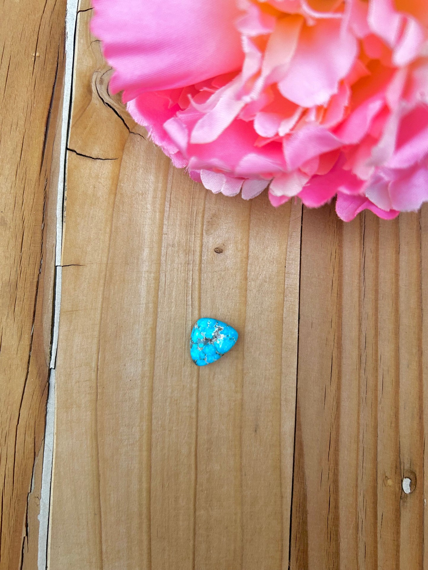 Blue Bird Turquoise Cabs