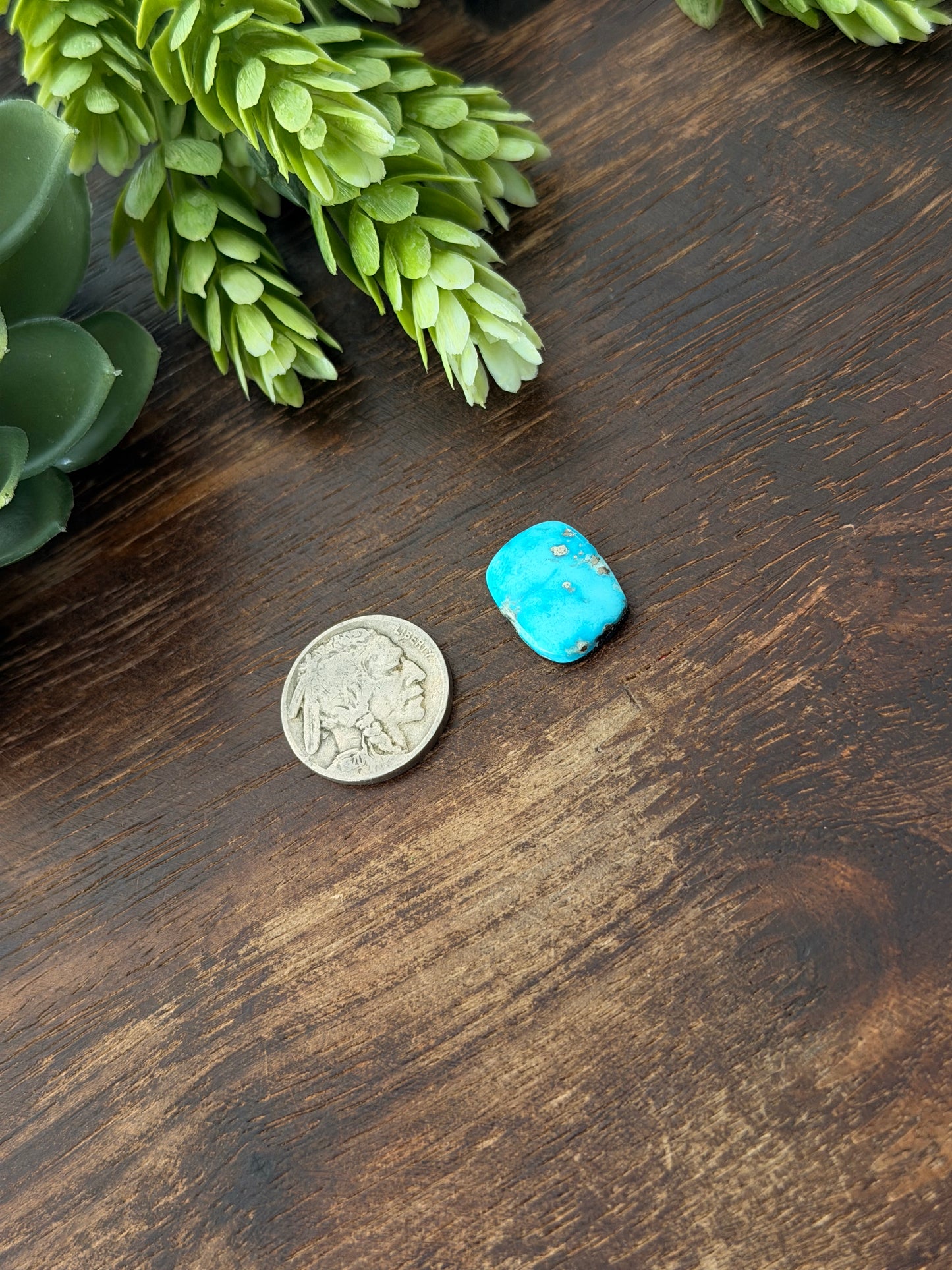 Blue Bird Turquoise Cab