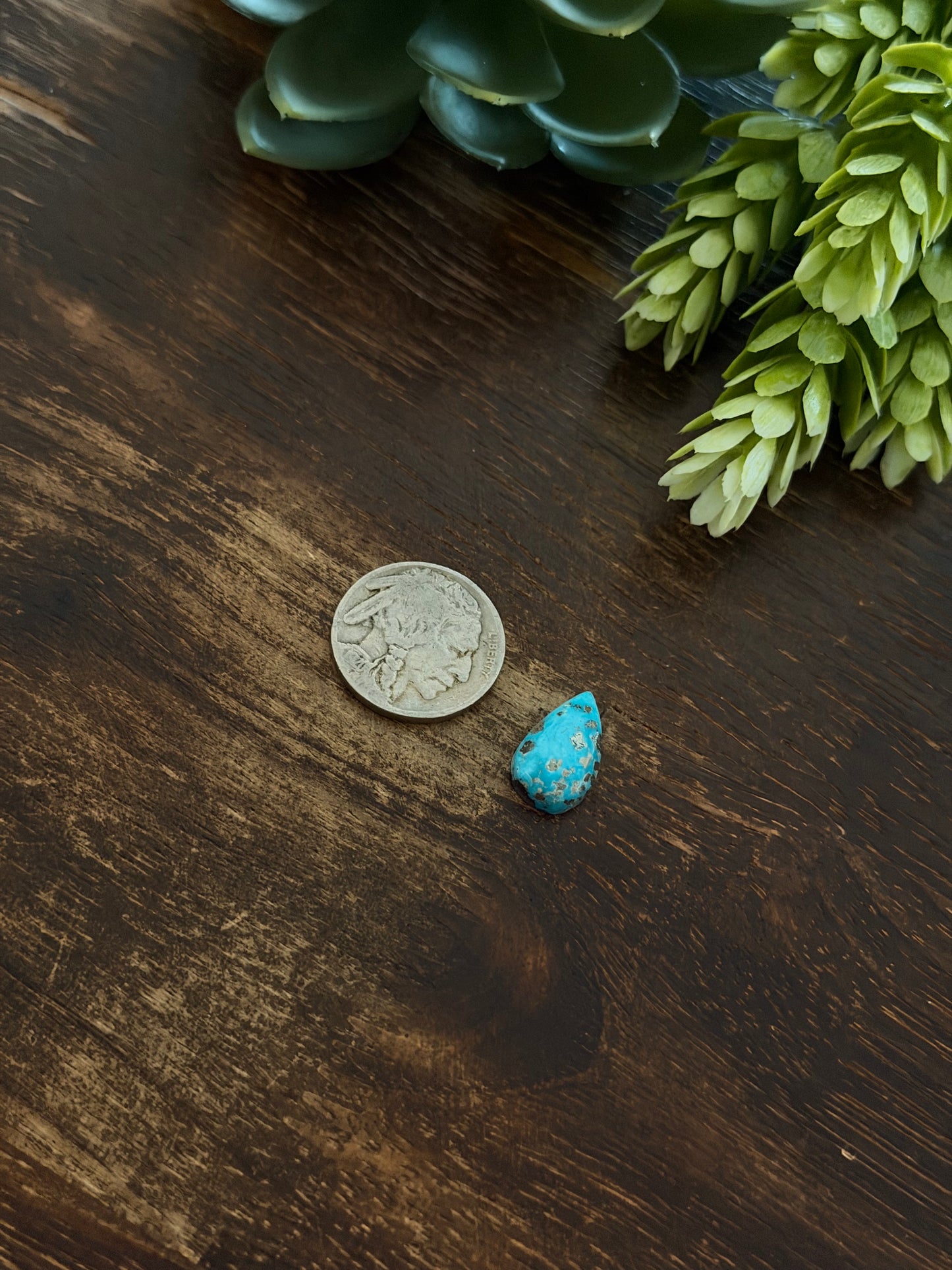 Blue Bird Turquoise Cab