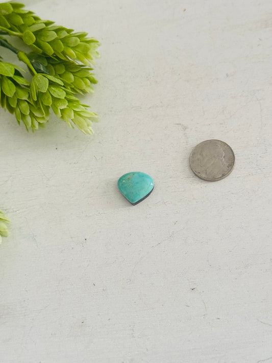 Kingman Turquoise Cab