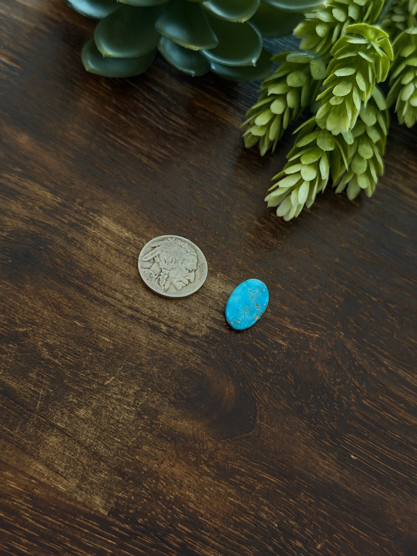 Blue Bird Turquoise Cab