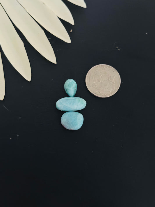 Larimar Cabs