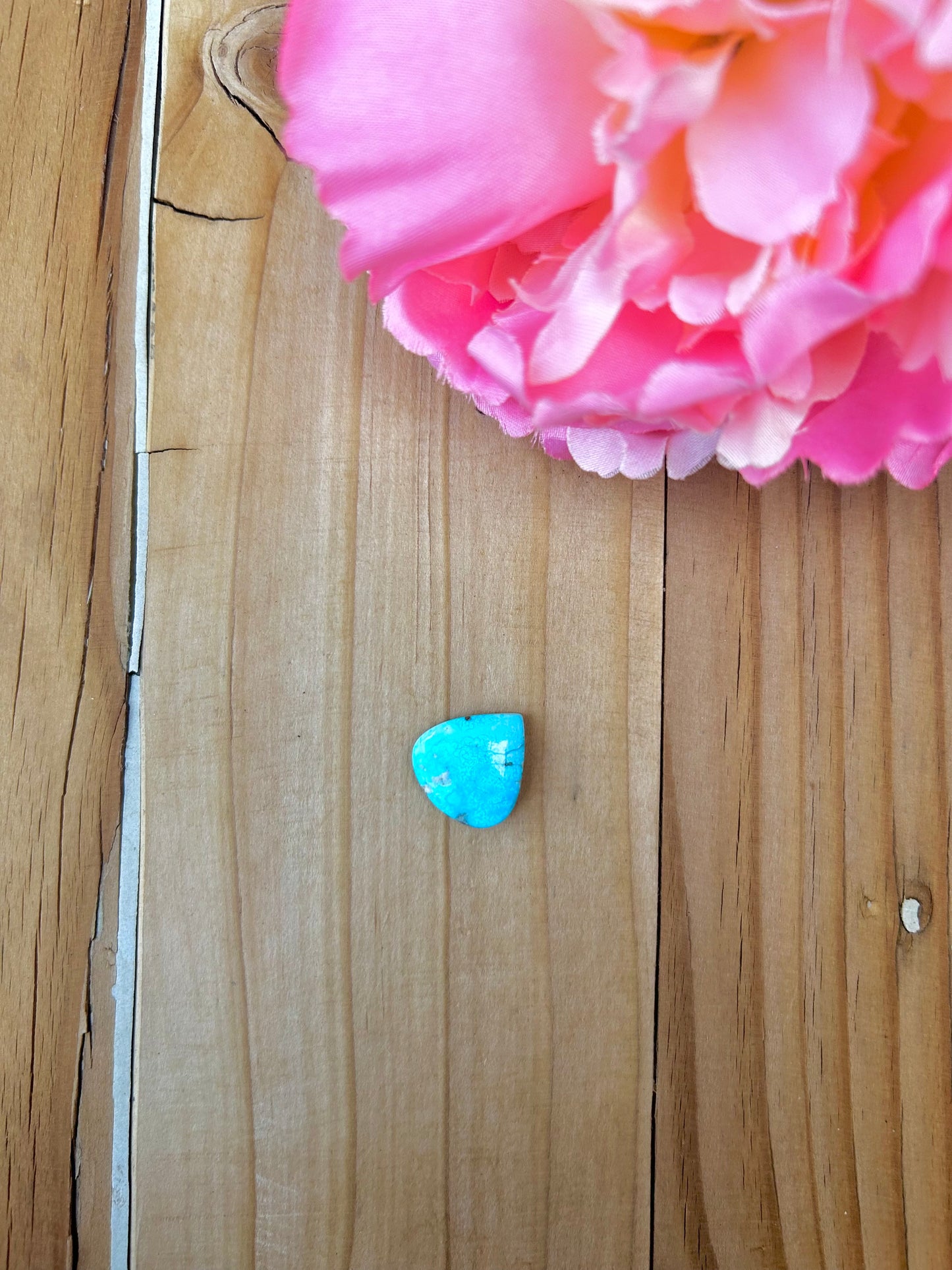 Blue Bird Turquoise Cabs