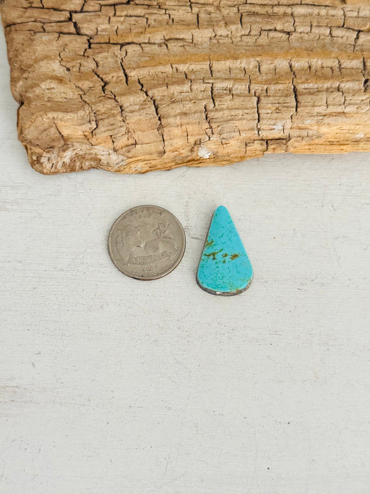 Natural Kings Manassa Turquoise Cab