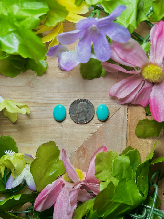 Kingman Turquoise Cabs