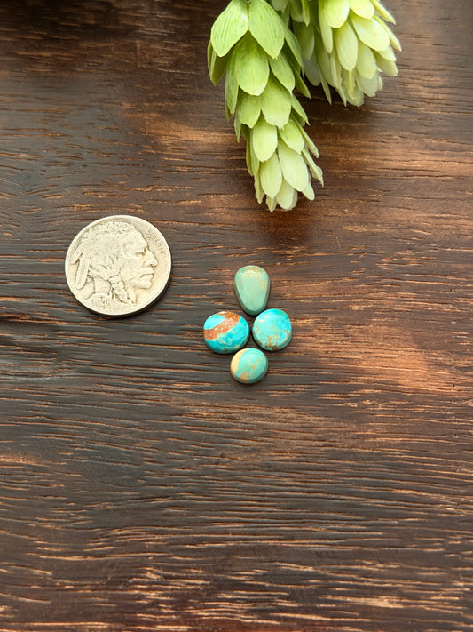 Evans Turquoise Cabs