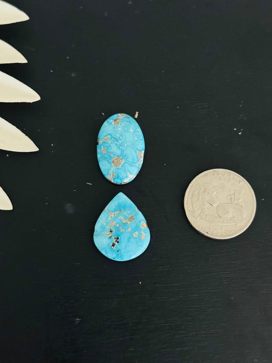 Blue Bird Turquoise Cabs