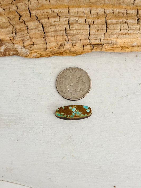 Natural Kings Manassa Turquoise Cab