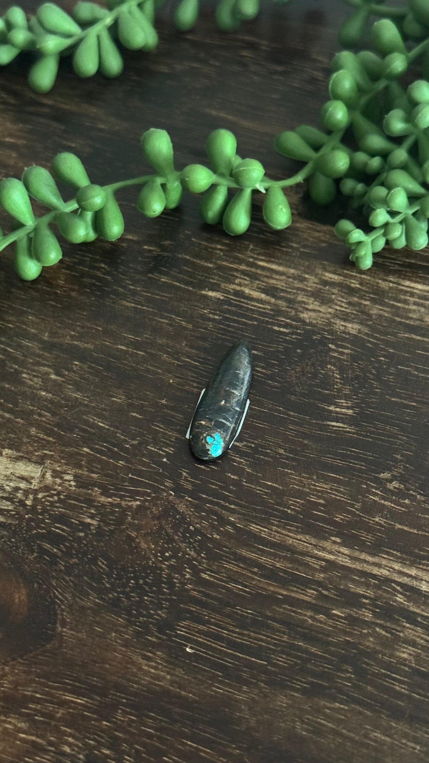 Black Jack Turquoise Cab