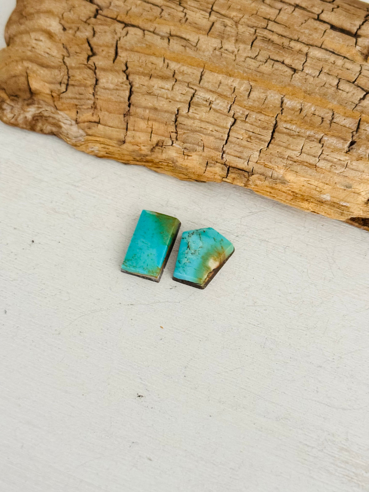 Natural Kings Manassa Turquoise Cabs