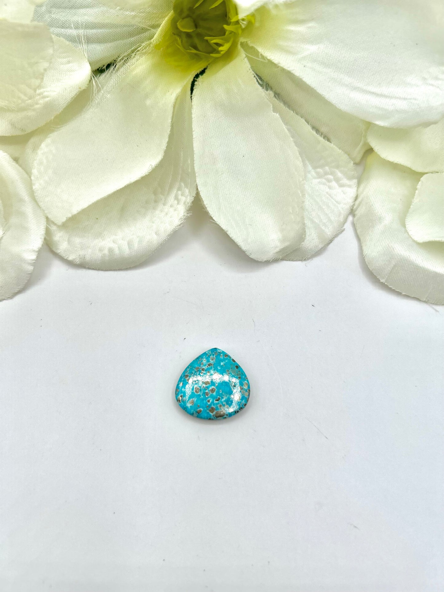 Blue Ridge Turquoise Cabs