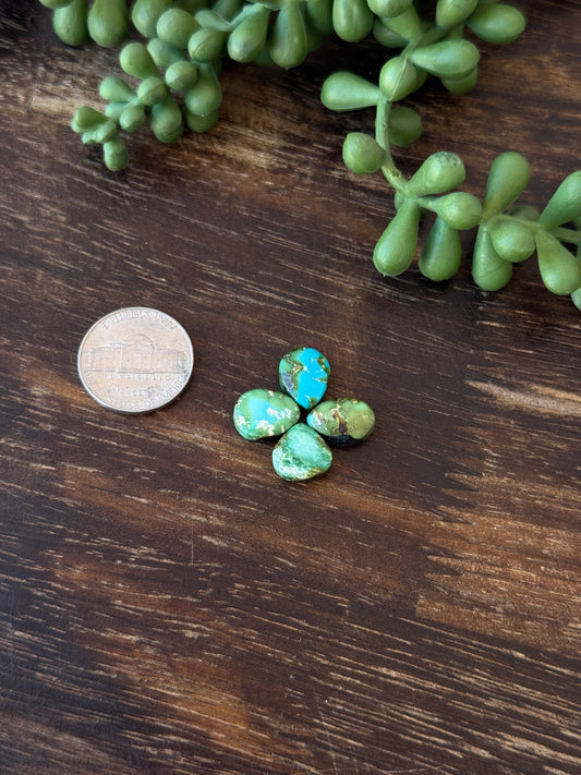 Sonoran Mountain Turquoise Cabs