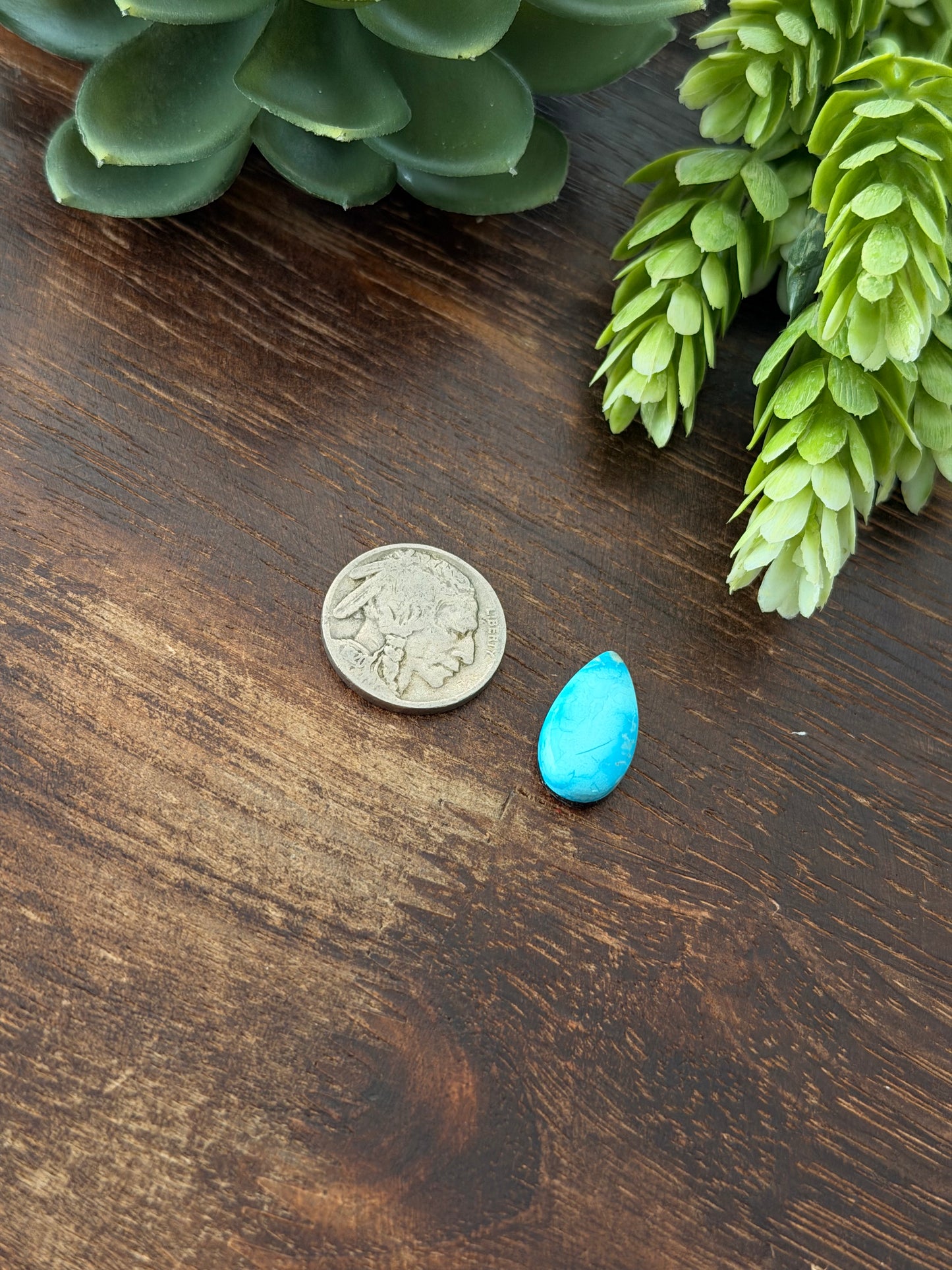 Blue Bird Turquoise Cab
