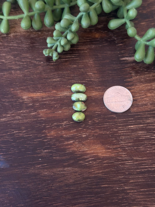Sonoran Mountain Turquoise Cabs
